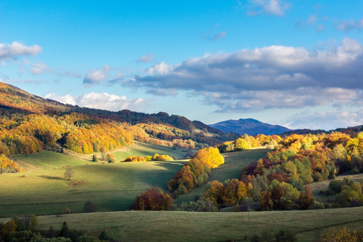 Połomina Wetlińsa - noclegi Bieszczady