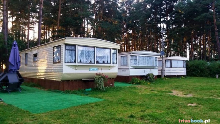 Domki pod sosnami