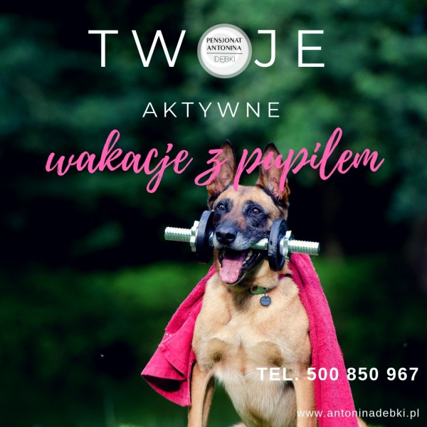 *** Zabierz czworonoga na wakacje ***