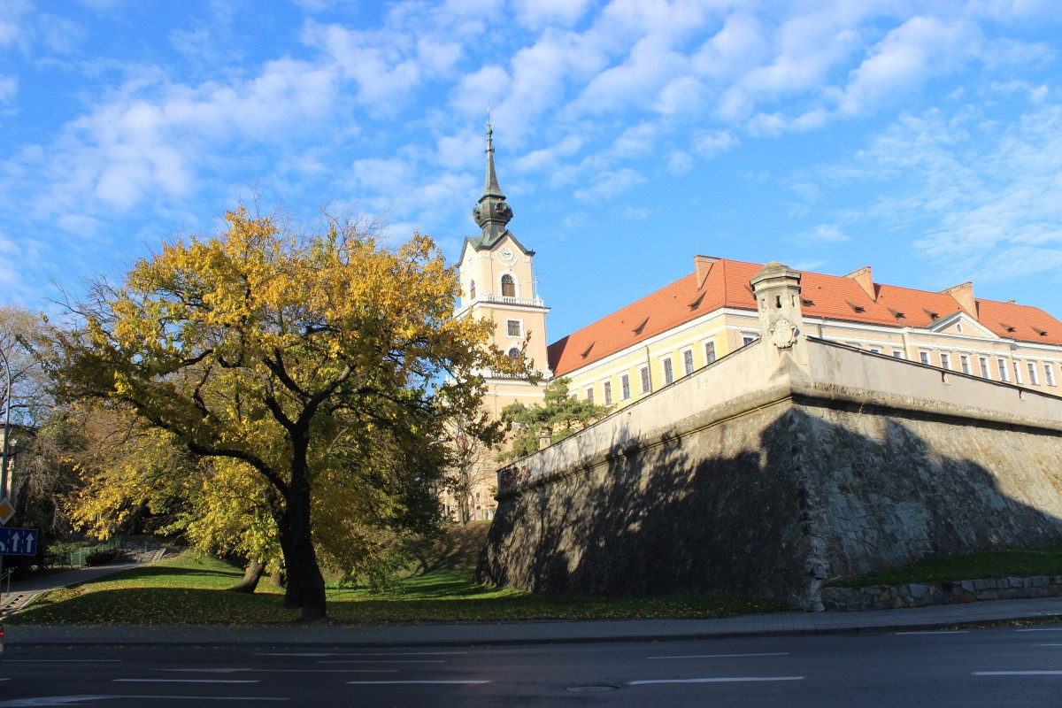 Rzeszów atrakcje - Zamek Lubomirskich