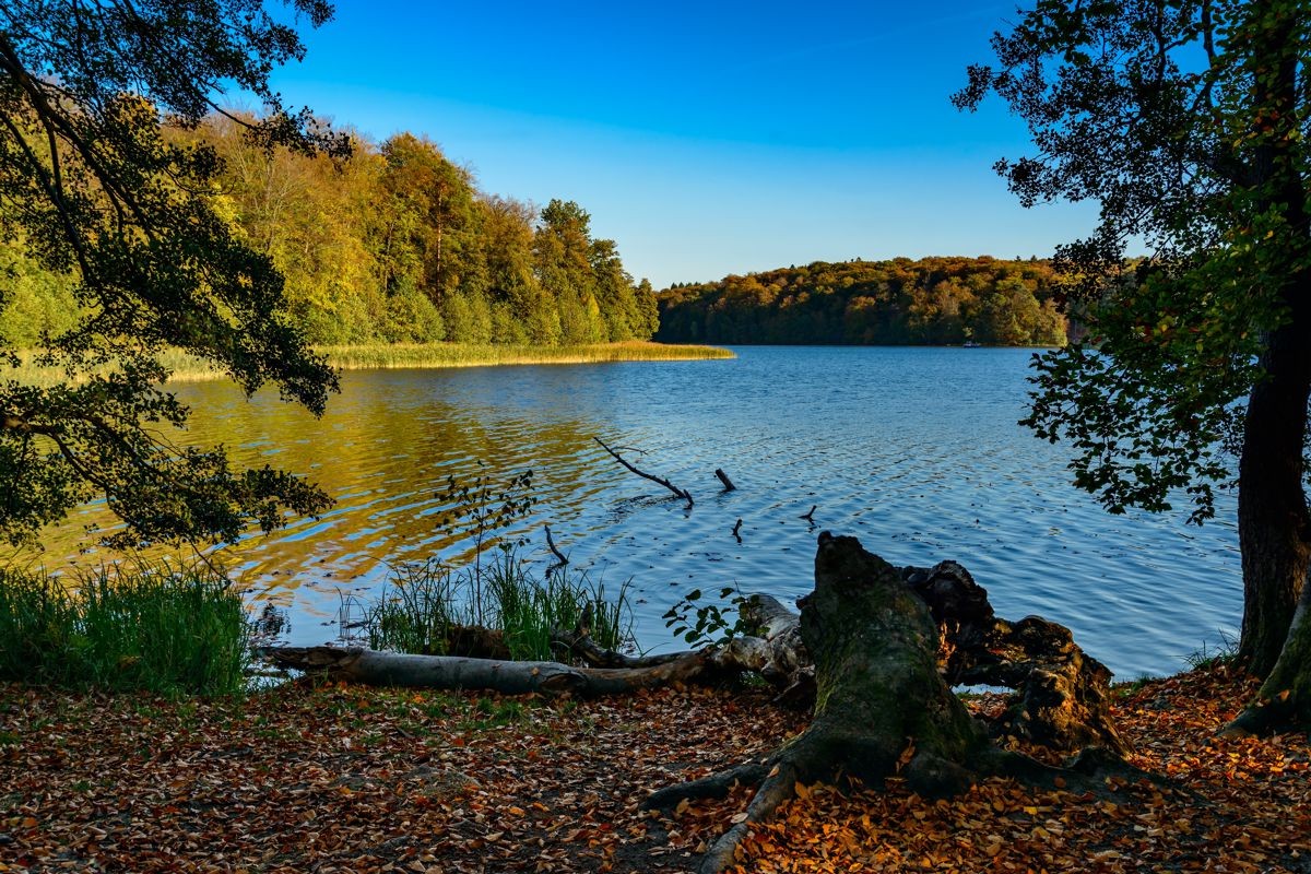 Szlak dla pieszych na Kaszubach