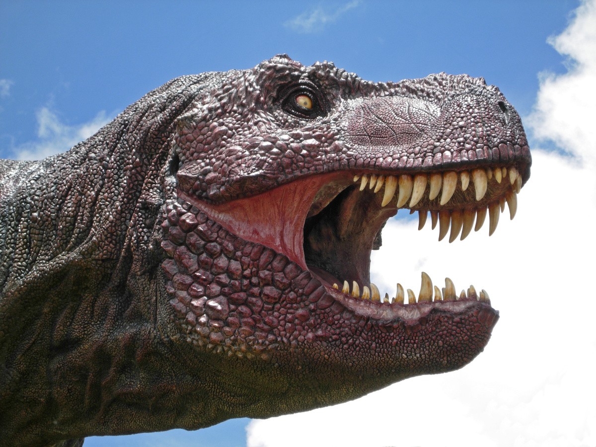 Dinozaury - Park rozrywki