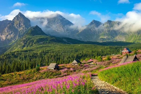 tatry ciekawostki - których nie znałeś