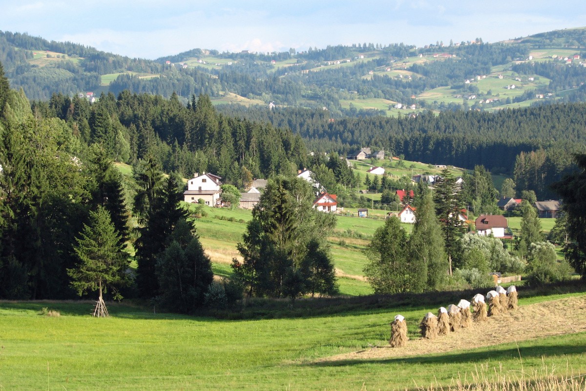 Noclegi Istebna
