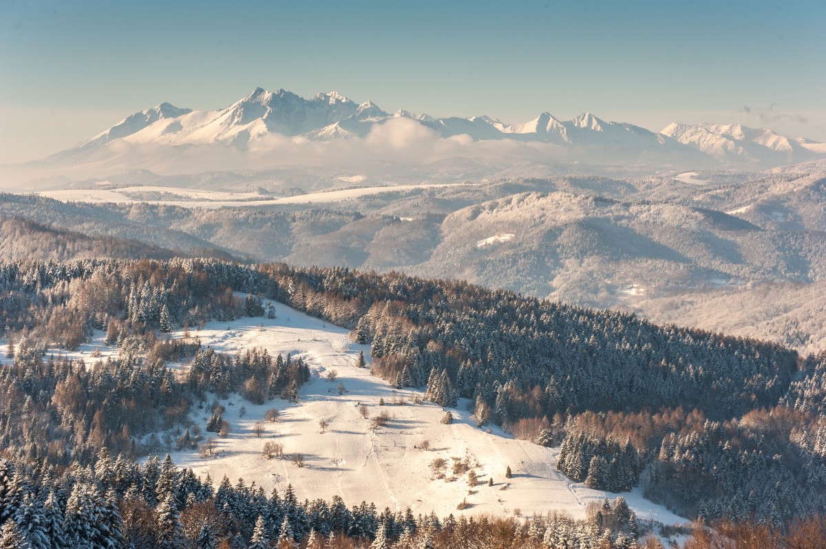 Stoki narciarskie w Krynicy-Zdrój