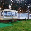 Domki pod sosnami