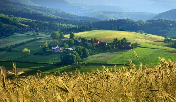 Zamek w Rytrze