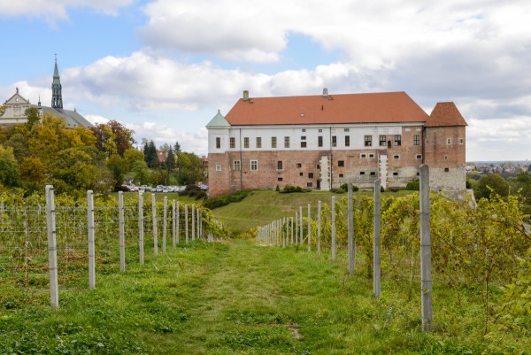 Sandomierski Szlak Winiarski