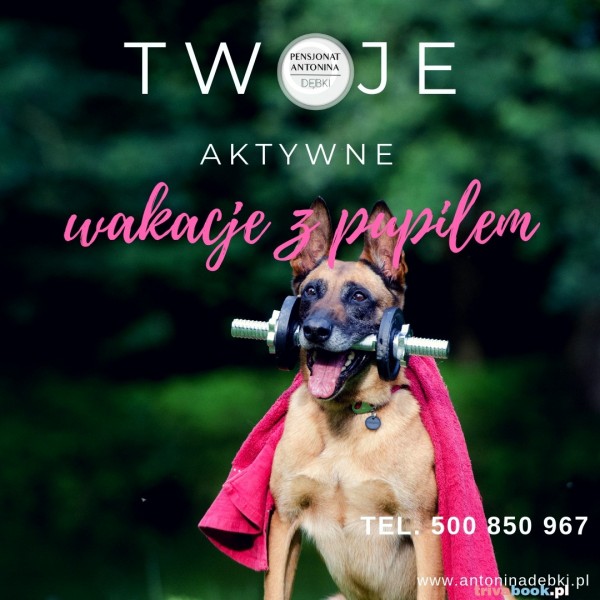 *** Zabierz czworonoga na wakacje ***