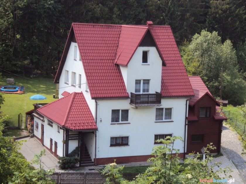 DomLeśny DomLeśny